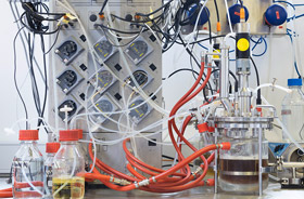 Kategorie Corporate: Brain