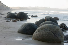 Kategorie Genuss: Fleur's Place