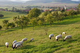 Kategorie Genuss: Rhön