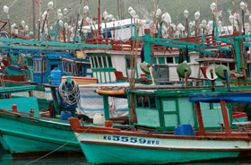 Kategorie Genuss: Nuoc Mam