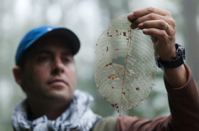 Kategorie Reise: Mashpi Lodge