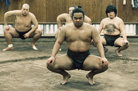 Reportage: Sumo Tamanoi
